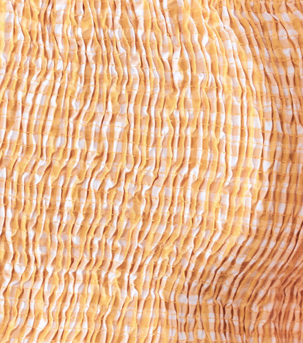 Poli Crop Top Mangas Con Volumen TyperNJ