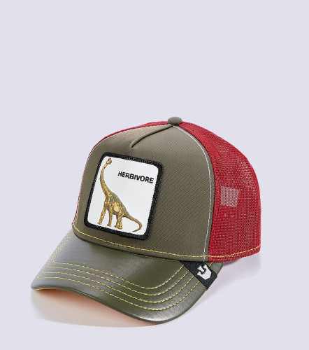 Gorra Goorin Bros Thunder LizardVD