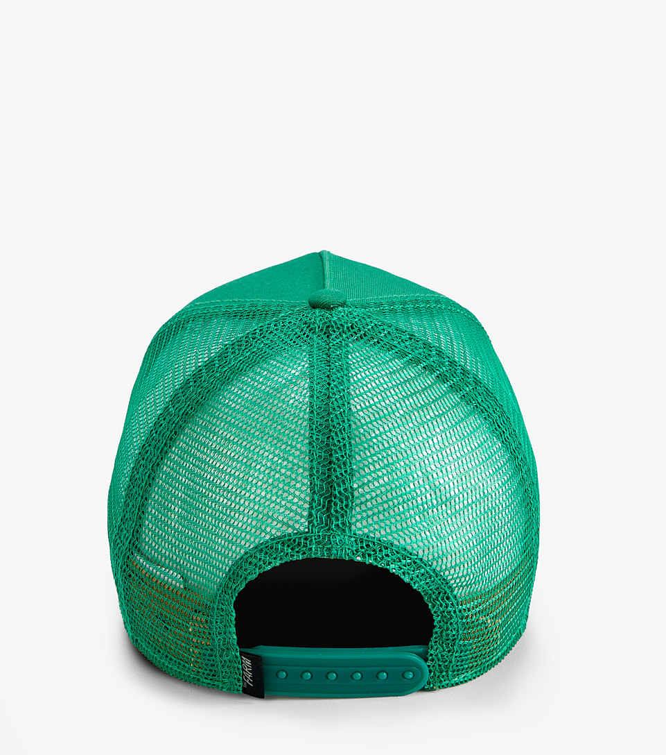 Gorra The Giraffe Goorin Bros 120808 VD