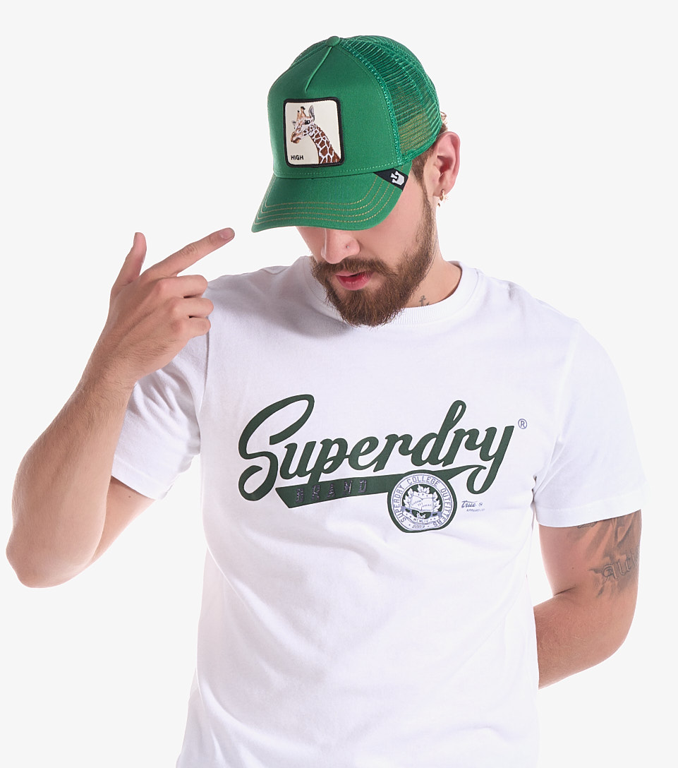 Gorra The Giraffe Goorin Bros 120808 VD