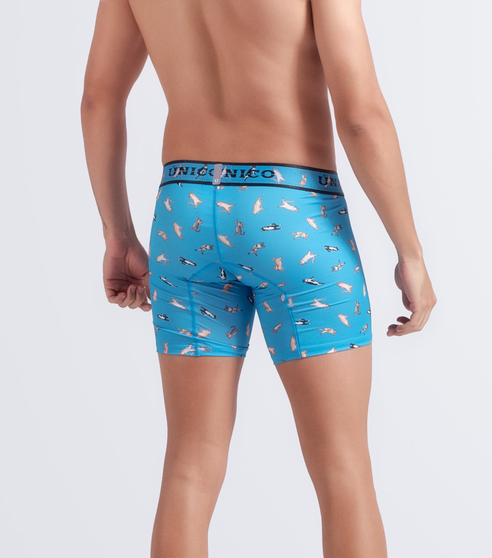 Boxer Unico Medio Felino 127400 AZ