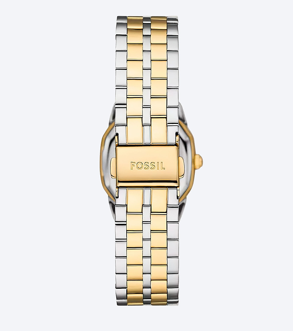 Reloj Fossil Mujer Harlow 127988 DO