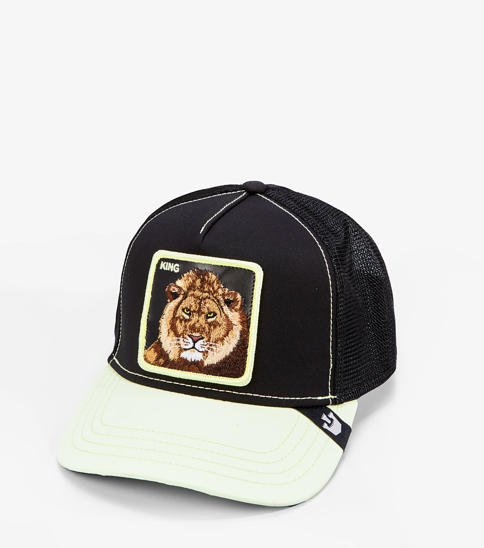 Gorra Goorin Bros Everything The Ligth Touches 124355 NG