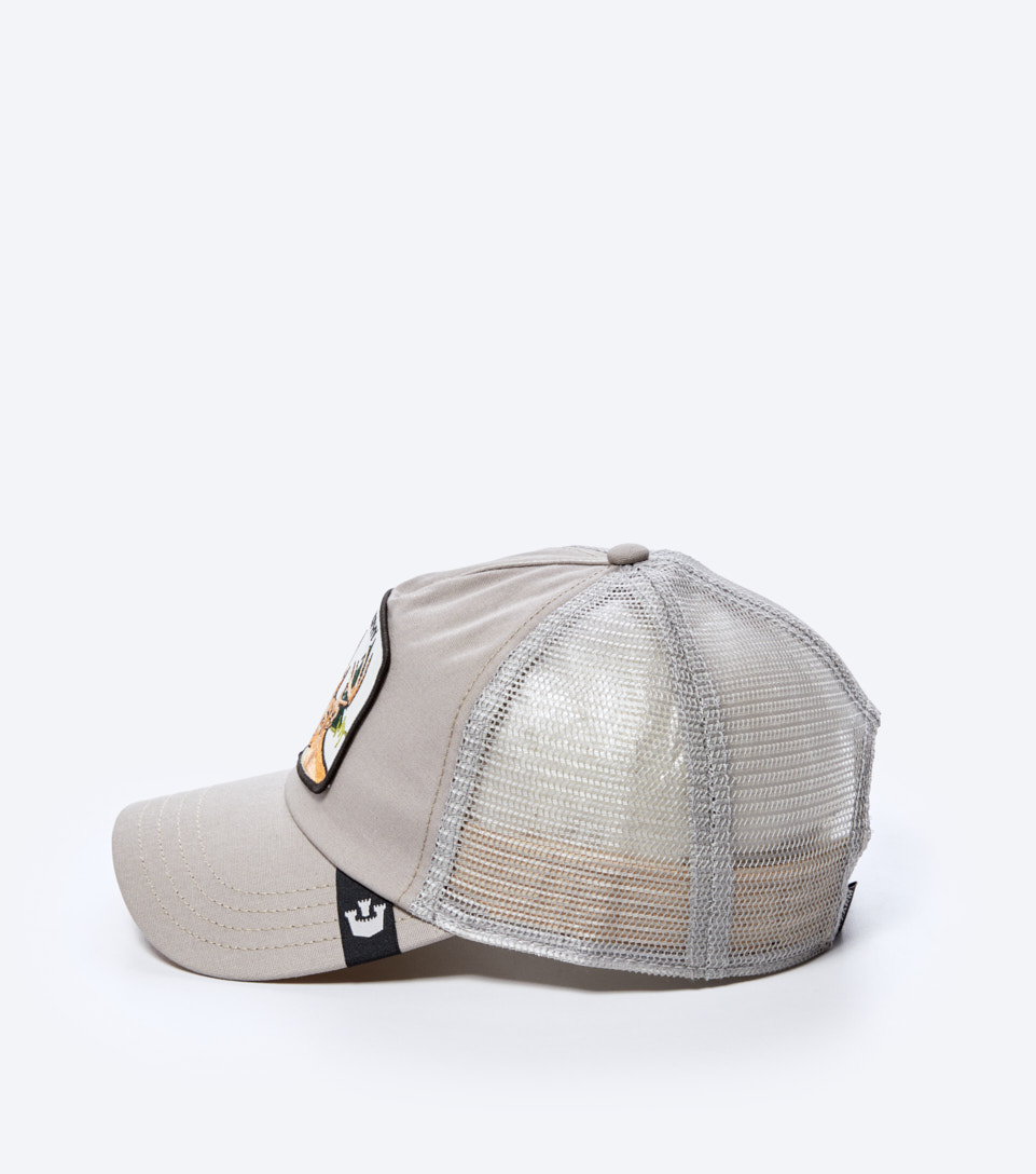 Gorra Goorin Bros Thisaway 129751 GR