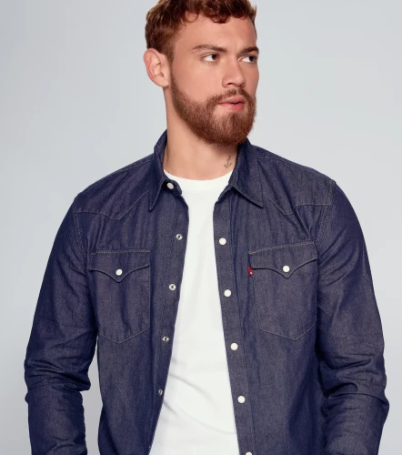 Camisa Levis Ls DeminAZ