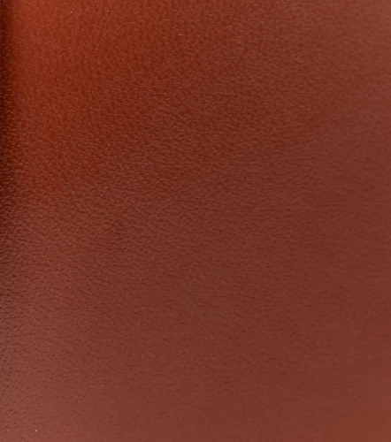 Correa Para Mujer Unicolor Con Elastico DerekCF