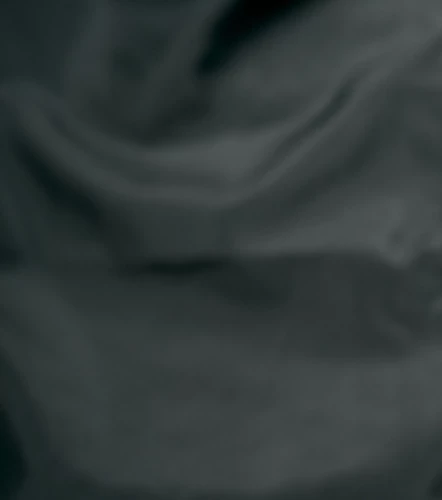 Emilio Jogger Rompevientos TyperNG