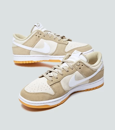Tenis Nike Dunk Low RetroAR