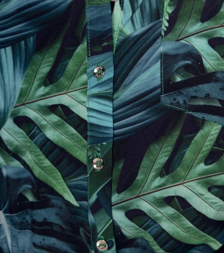 Blusa Camisera Manga Corta Sublimada DerekVD