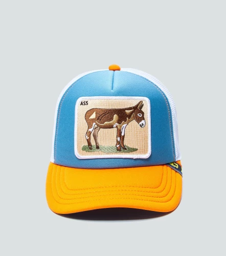 Gorra Goorin Bros First AssVD