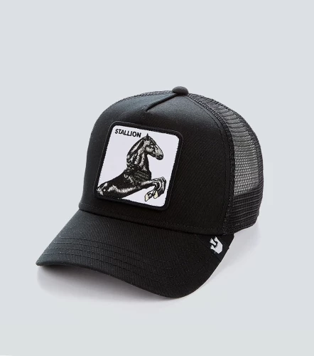 Gorra The Stallion GoorinNG