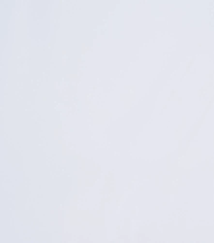 Blusa De Mujer Camisera Manga Larga Unicolor DerekBL