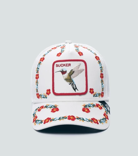 Gorra Goorin Bros Necessary NectarBL