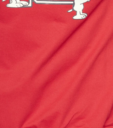 Stiven Buzo Edicion Peanuts UnserRJ