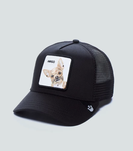 Gorra Goorin Bros The AmigoNI