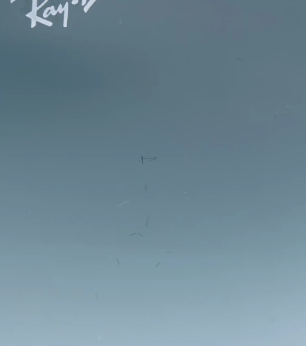 Gafas Ray Ban Unisex SolAZ