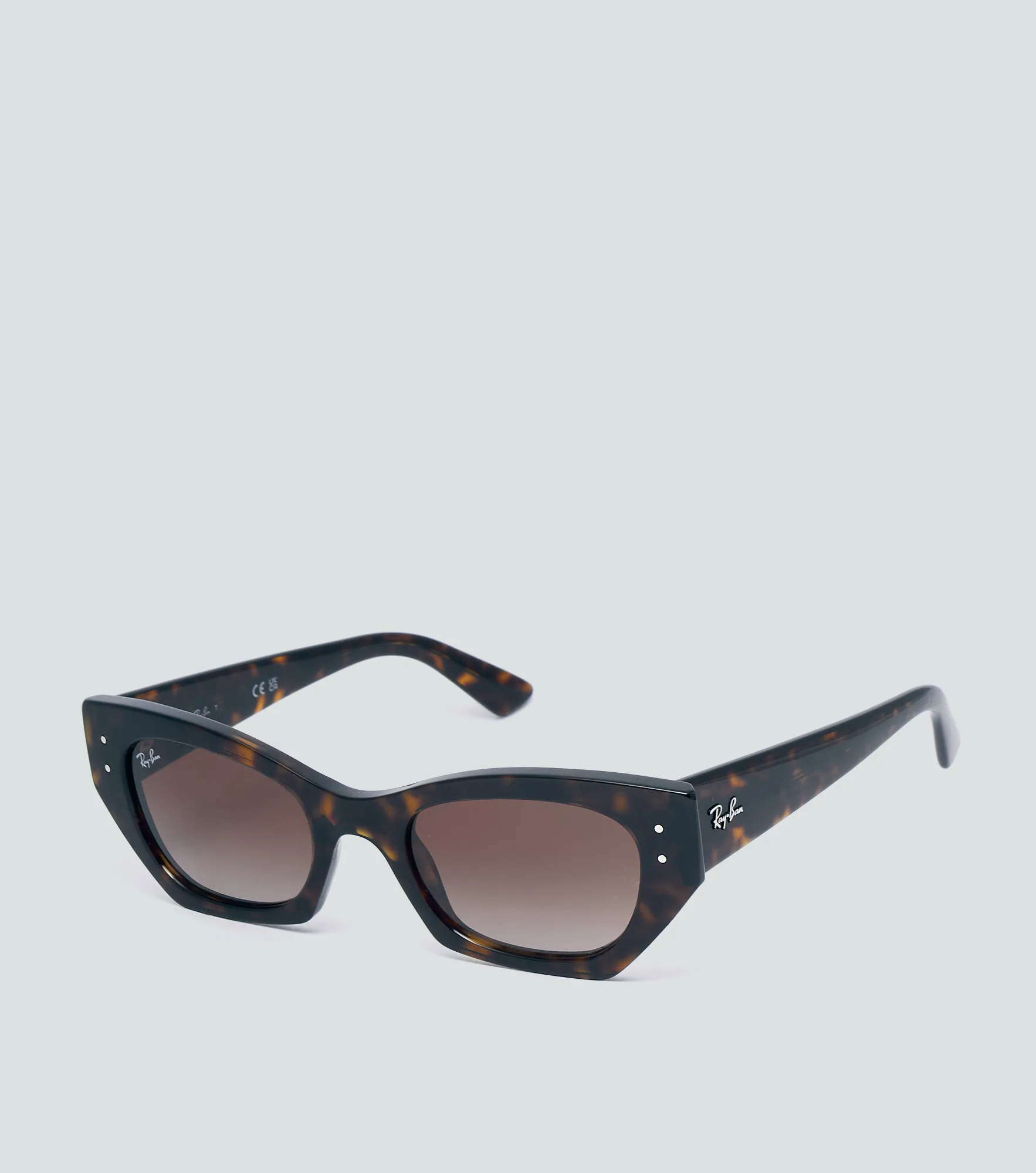 Gafas Ray Ban Unisex Sol 131627 CF