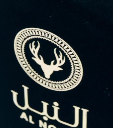 Perfume Lattafa Al Noble Ameer Edp 100mlCU