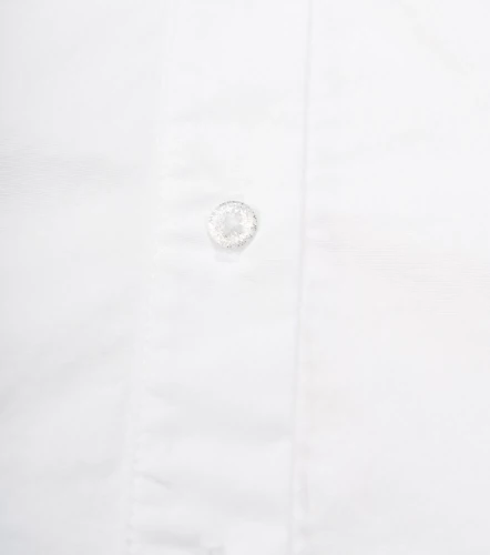 Blusa Camisera Para Mujer Manga Larga Unicolor DerekBL