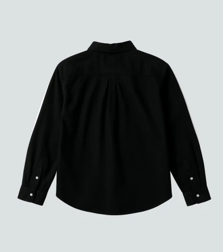 Frank Camisa Manga Larga Comfort TyperNG