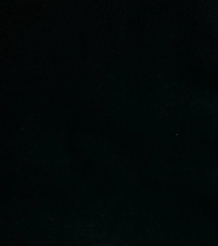 Damian T Shirt Boxy Estampada TyperNG