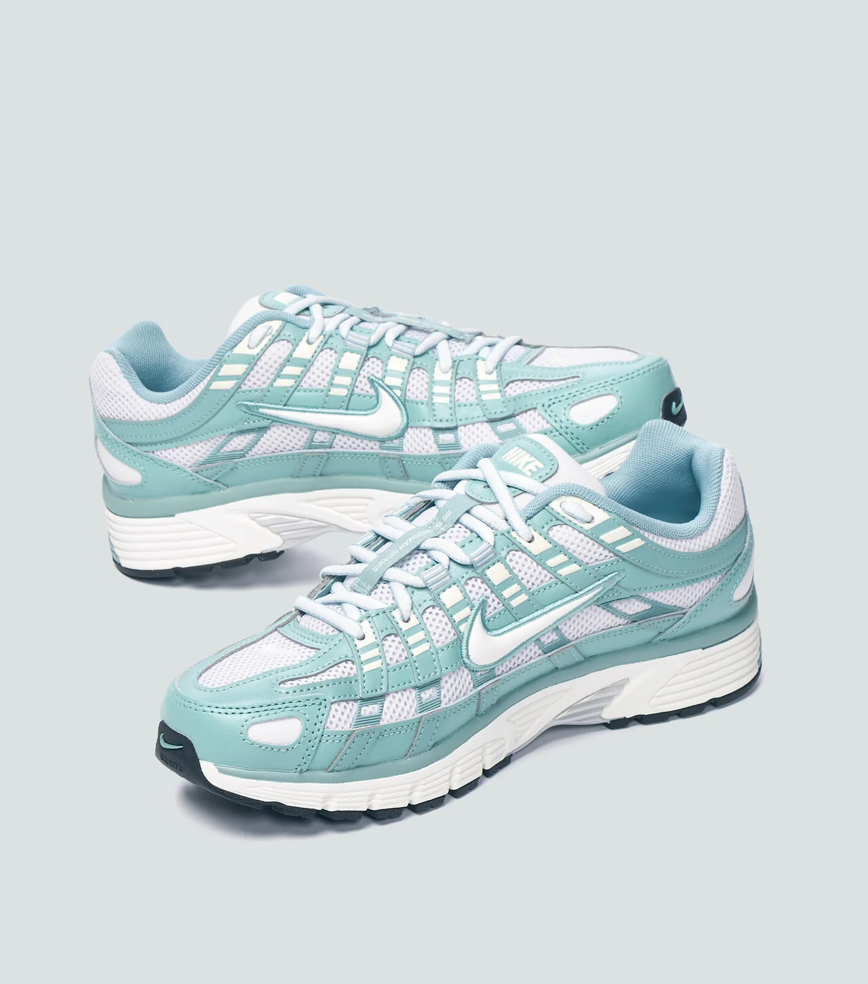 Tenis Nike W P 6000AT