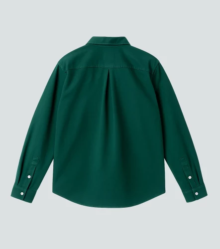 Frank Camisa Manga Larga Comfort TyperVD
