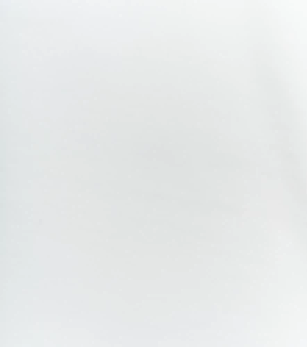 Camiseta Para Mujer Pia Derek LovelyBL