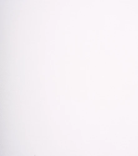 Lucas Polo Con Cuellos Y Punos Combinados TyperBL