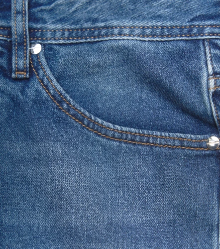 Bermuda Monastery Brome Demin ShortAZ