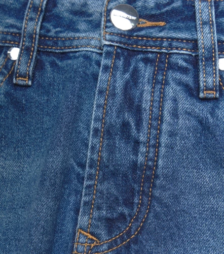 Bermuda Monastery Brome Demin ShortAZ