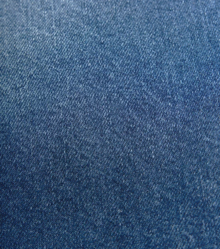 Bermuda Monastery Brome Demin ShortAZ