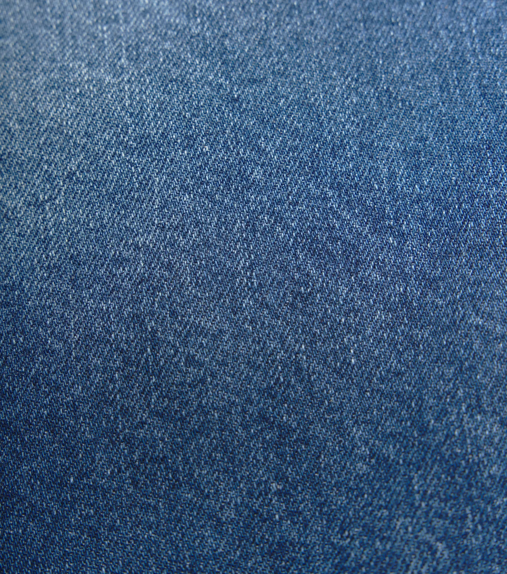 Bermuda Monastery Brome Demin Short 132046 AZ