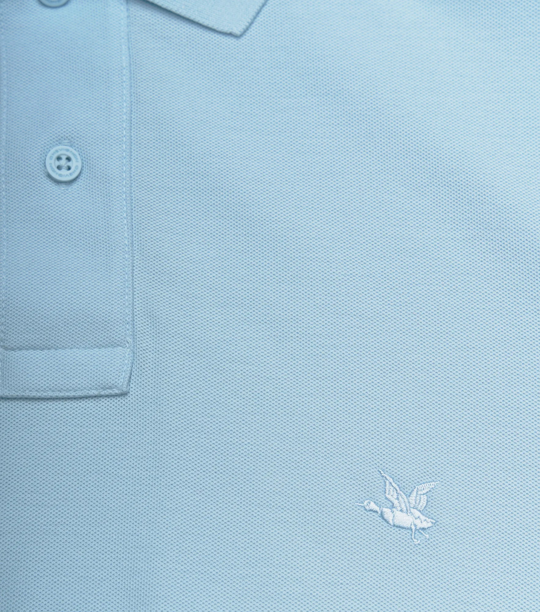 Polo Chevignon Classic 132065 AZ