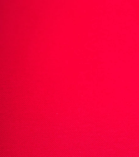 Enzo Polo Slim Fit Masculina GasRJ