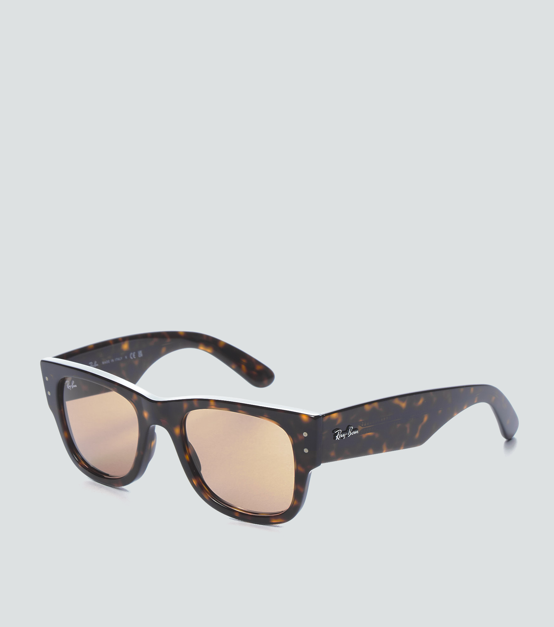 Gafas Ray Ban Mega WayfarerCF