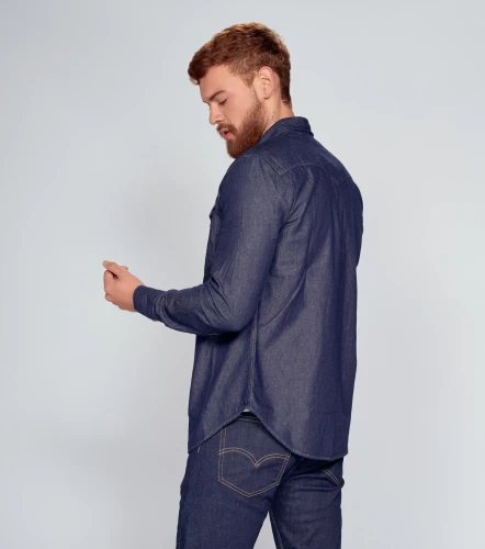 Camisa Levis Ls DeminAZ