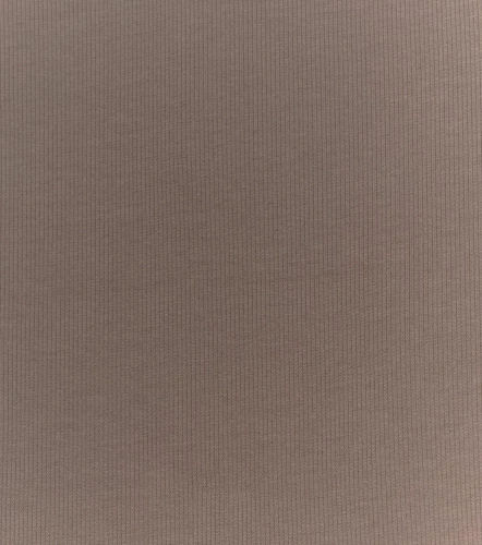 Rochi Polo Slim Fit Femenina GasCF