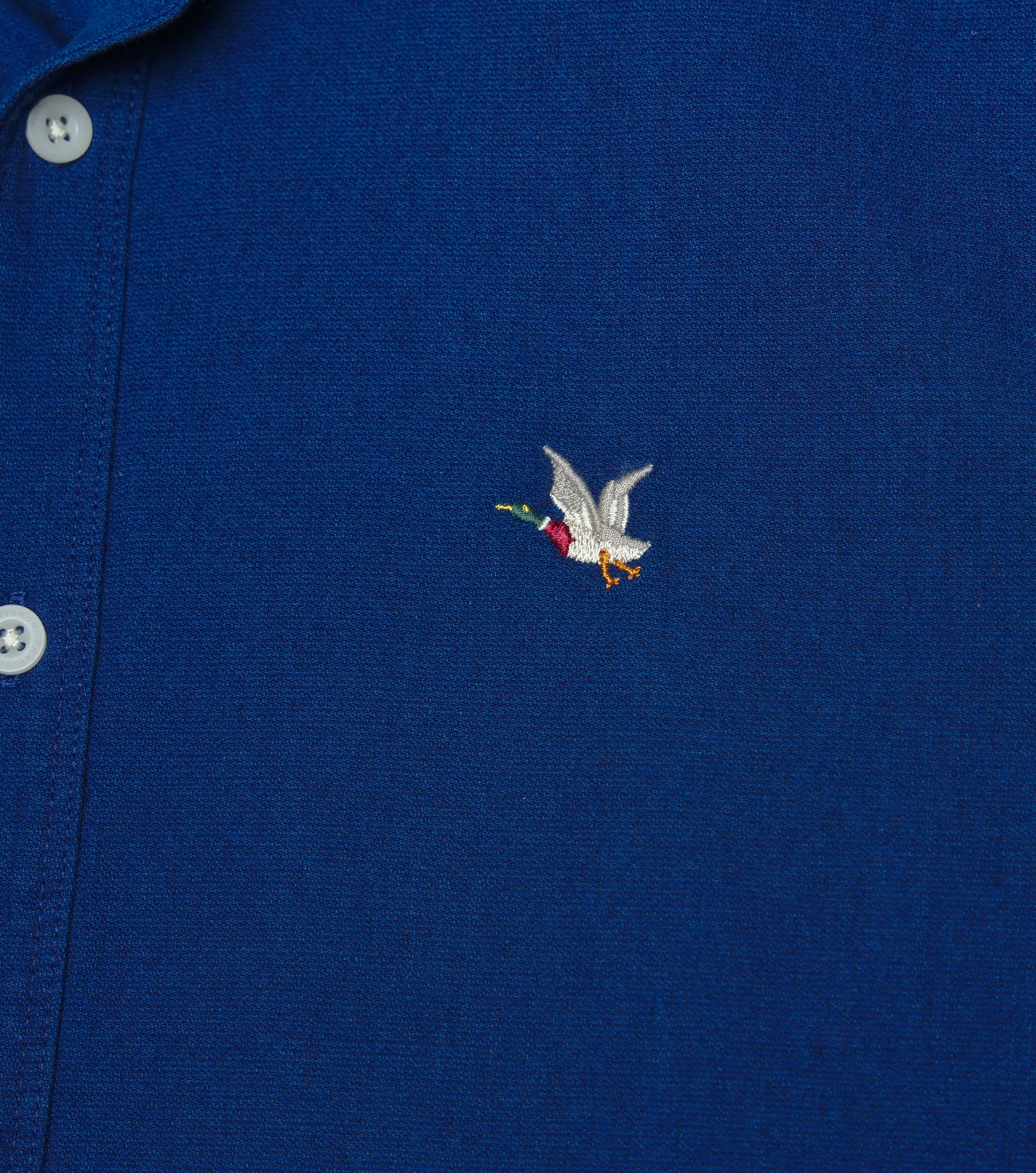 Camisa Chevignon Button Down Shirt M C 132176 AZ