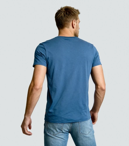 Camiseta Levis Mc GraphicAZ