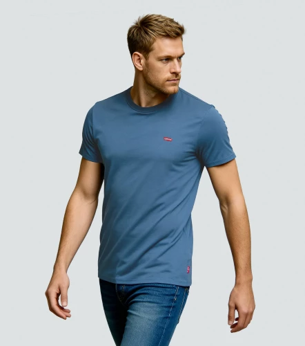 Camiseta Levis Manga Corta Ss GraphAZ