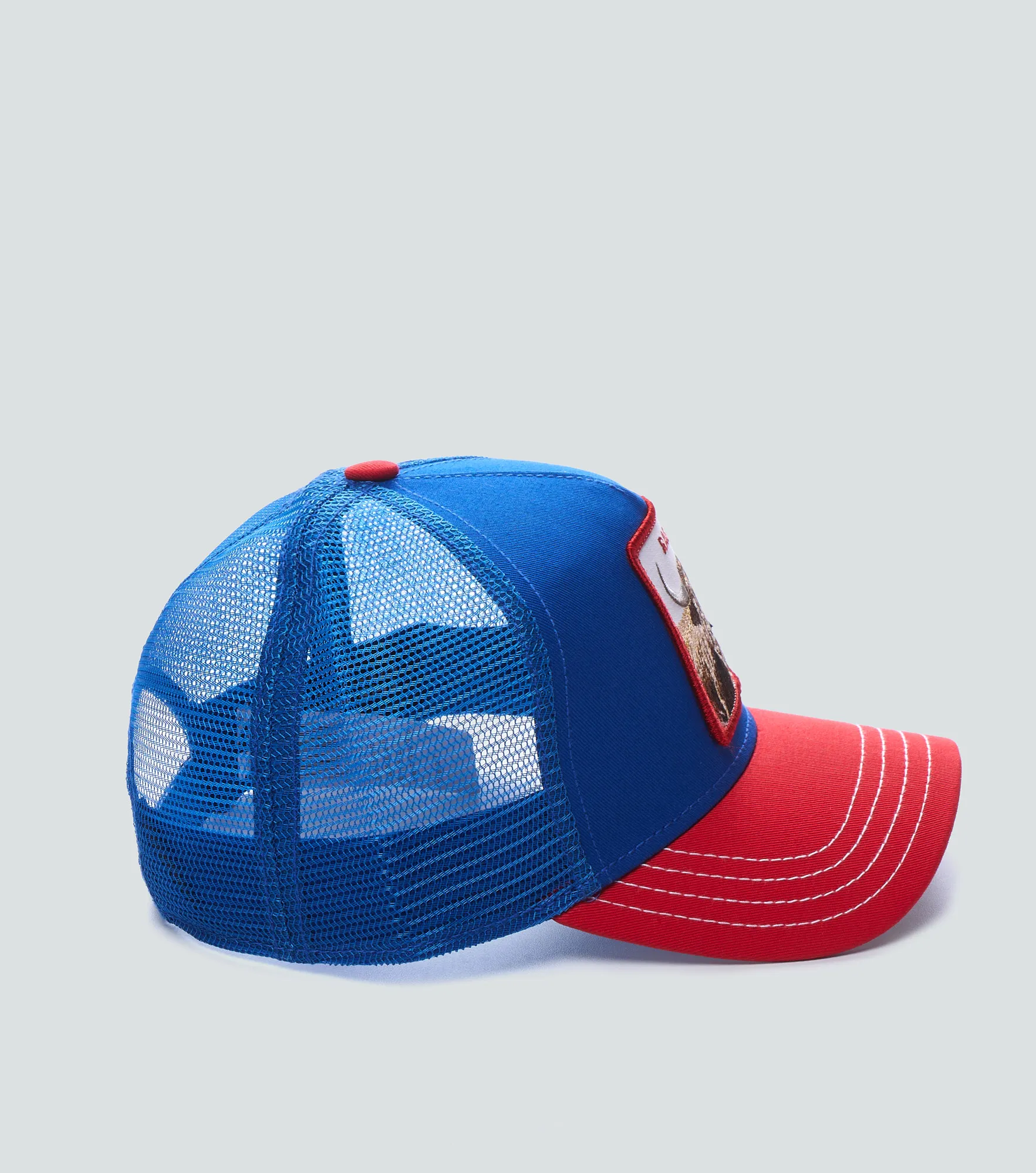 Gorra Goorin Bros The Rager Bison 132525 AZ