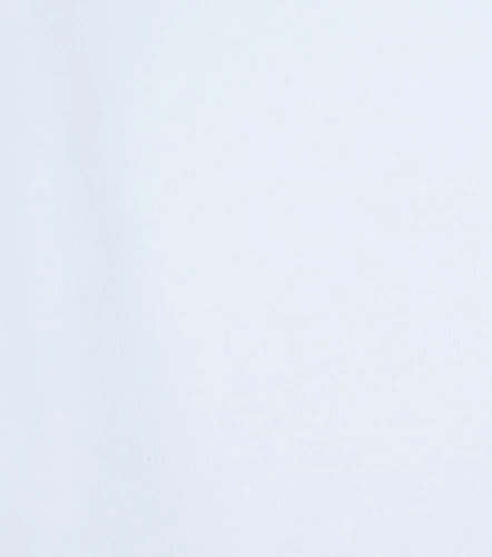 Domenico Polo Slim Masculina GasBL