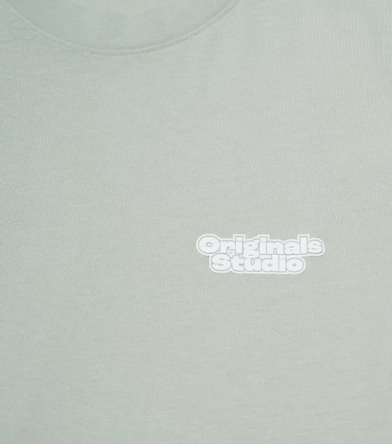 Camiseta Jack And Jones Jorridgewood Wash Tee Ss CrewGR