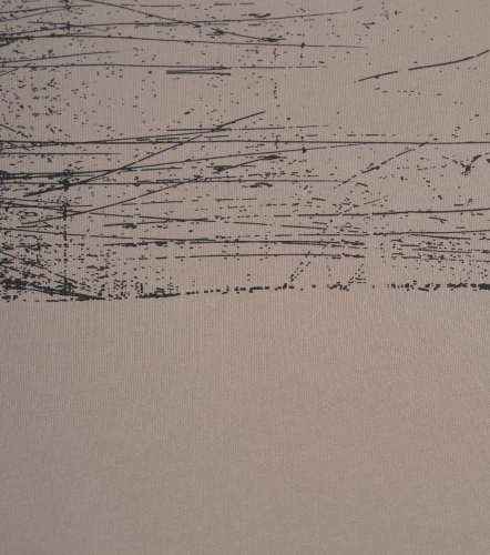 Camiseta Monastery Gibbon T Shirt Oversized MenTP