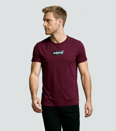 Camiseta Levis Mc MenVT