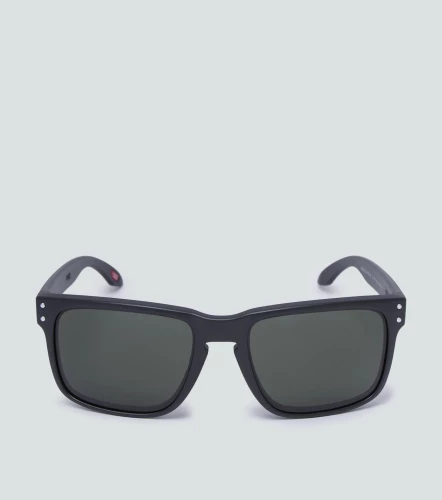 Reloj Oakley HolbrookNG