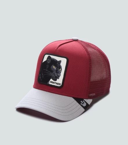 Gorra Goorin Bros The PantherVT