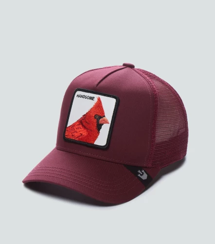 Gorra Goorin Bros Handsome TruckinVT