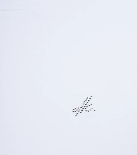 Blusa Para Mujer Manga Corta Unicolor Matilda DerekBL